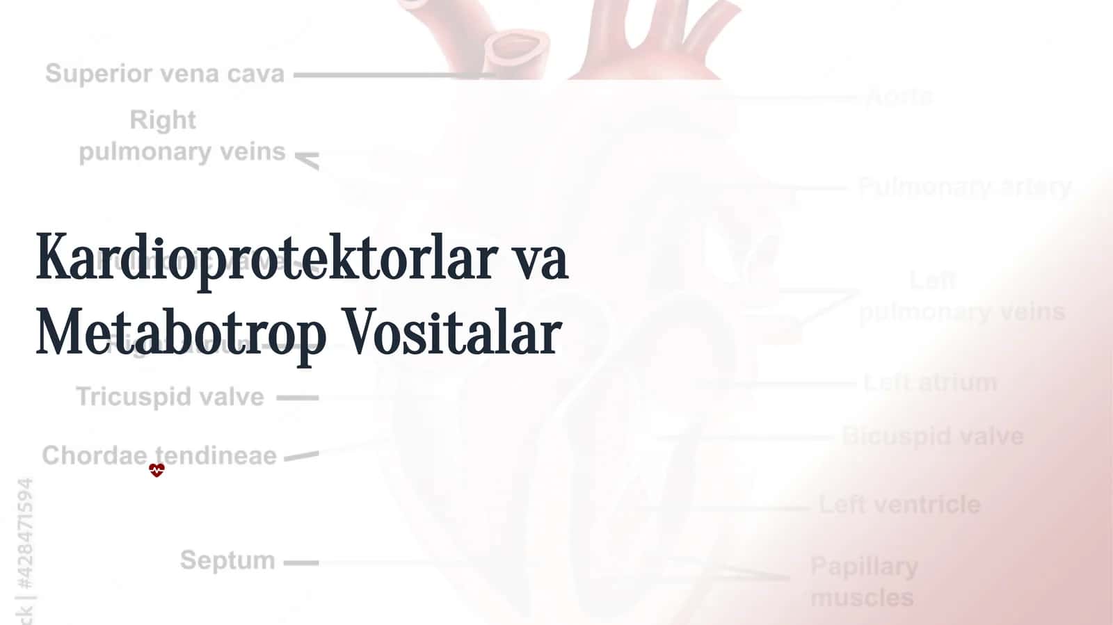 Metabotrop Vositalar