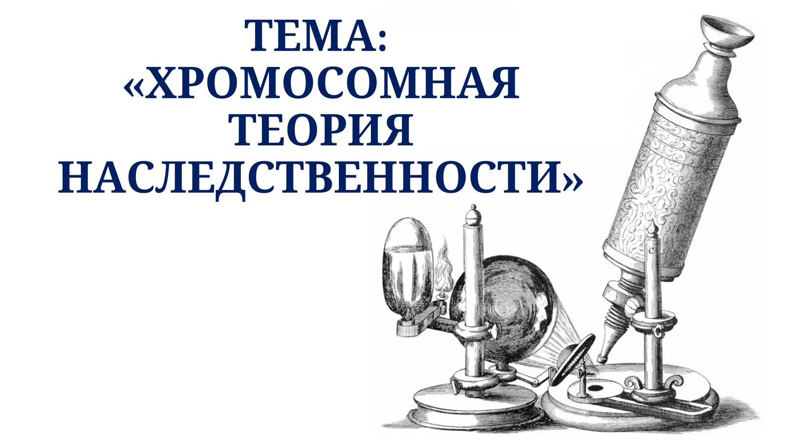 ХРОМОСОМНАЯ ТЕОРИЯ НАСЛЕДСТВЕННОСТИ