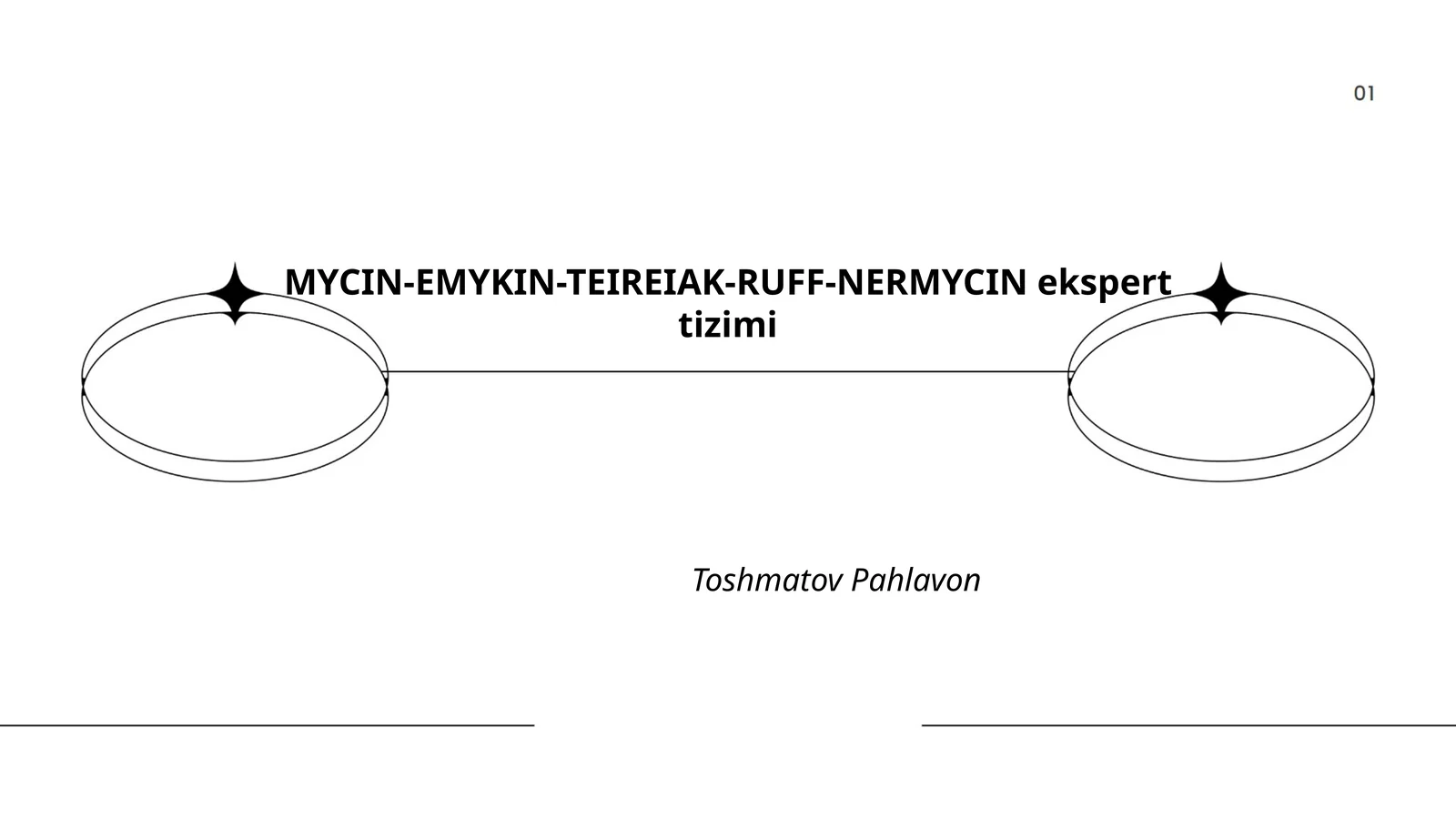 MYCIN-EMYKIN-TEIREIAK-RUFF-NERMYCIN ekspert tizimi