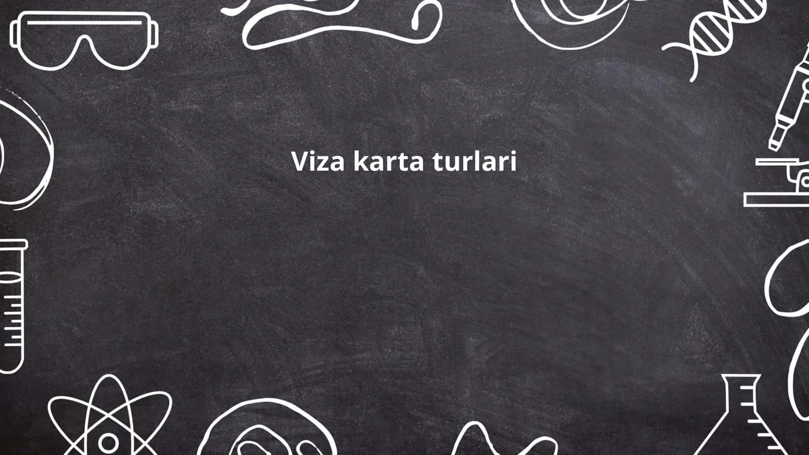 Viza karta turlari
