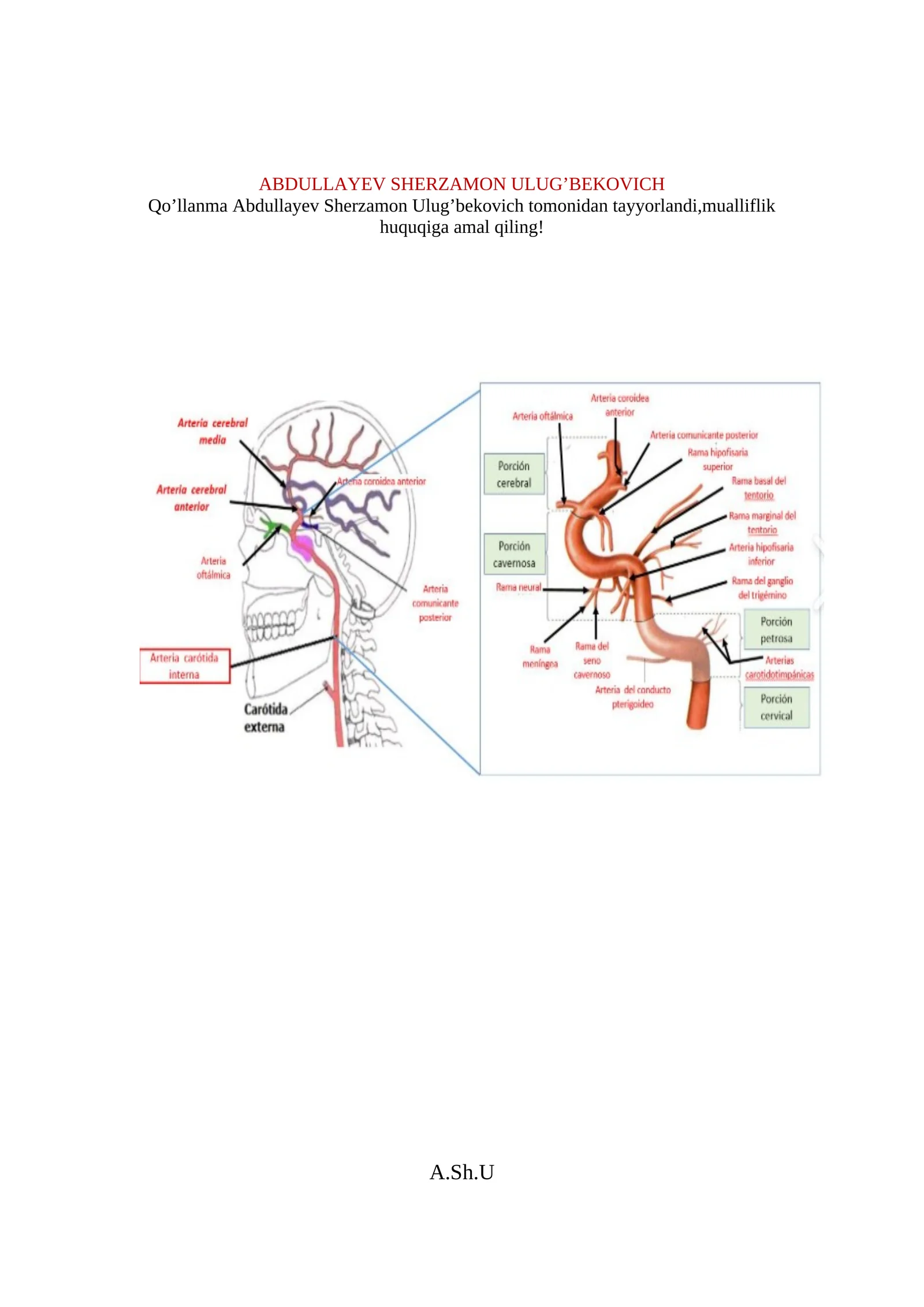 Ichki uyqu arteriyasi