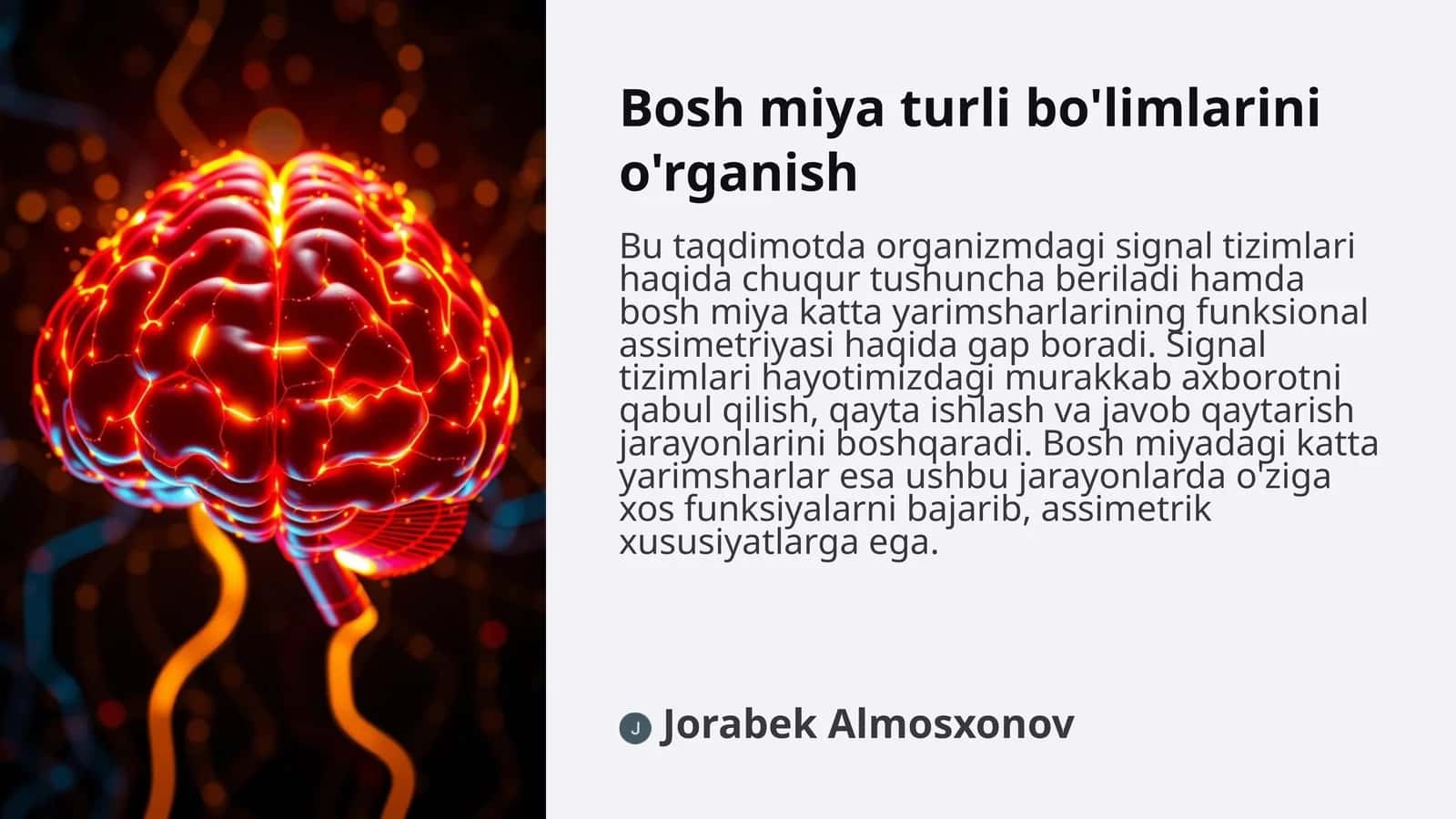 Bosh miya turli bo'limlarini o'rganish
