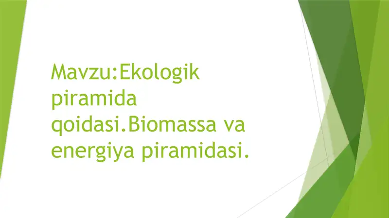 Ekologik piramida qoidasi.Biomassa va energiya piramidasi