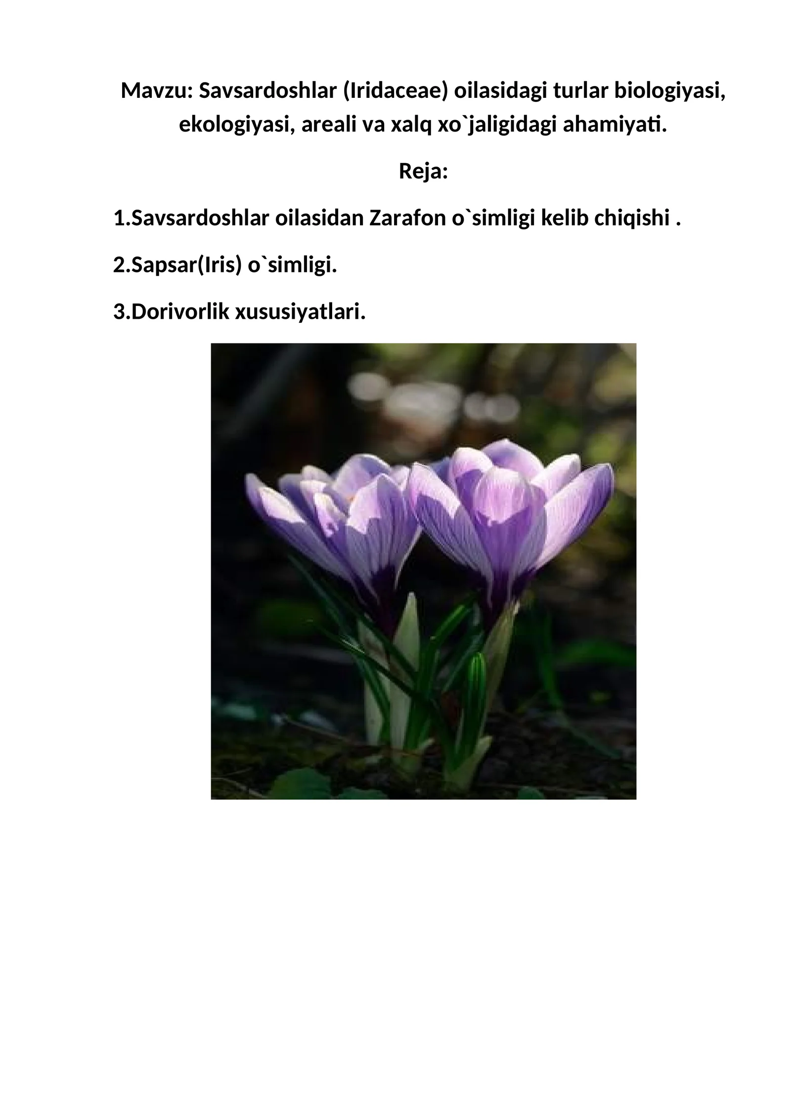 Savsardoshlar (Iridaceae) oilasidagi turlar biologiyasi, ekologiyasi, areali va xalq xo`jaligidagi ahamiyati