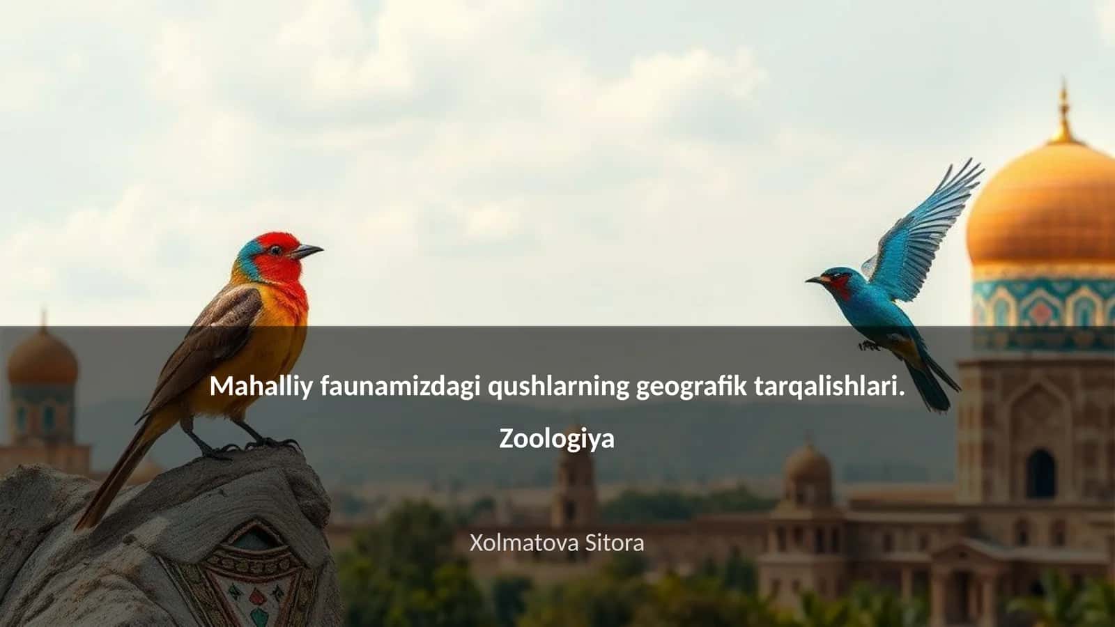Mahalliy faunamizdagi qushlarning geografik tarqalishlari