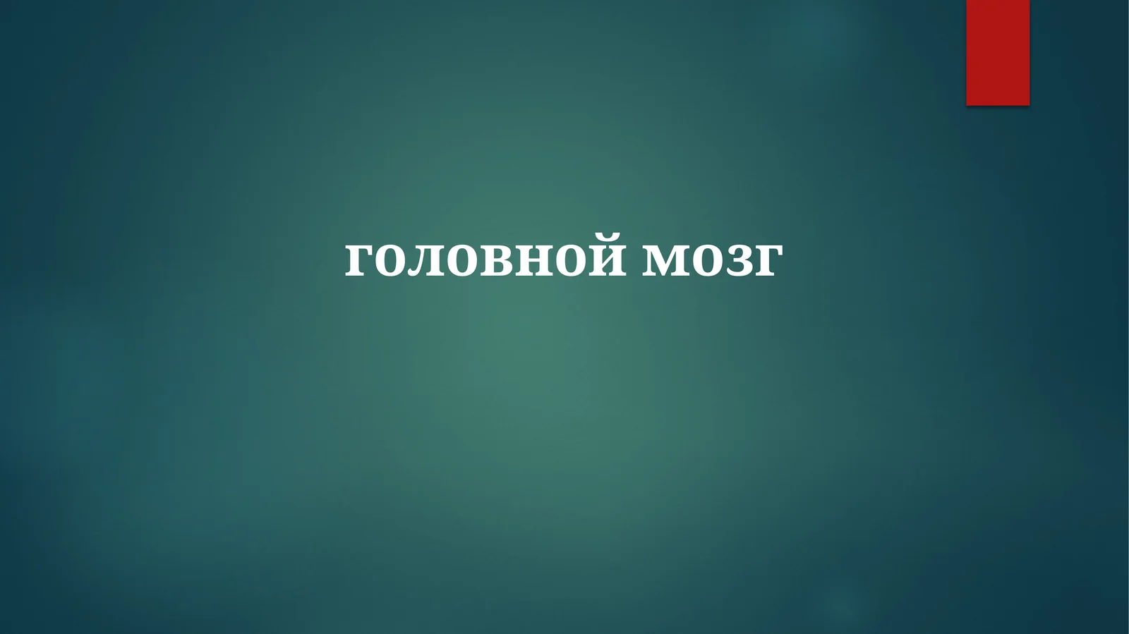 Основные Функции Мозга