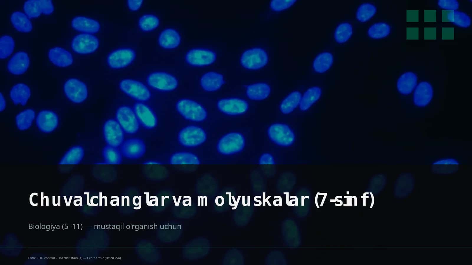 Chuvalchanglar va molyuskalar (7-sinf)