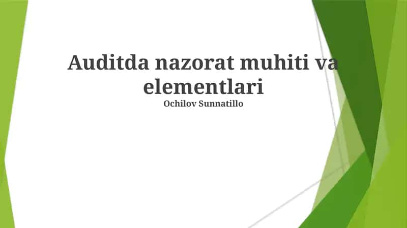 Auditda nazorat muhiti va elementlari
