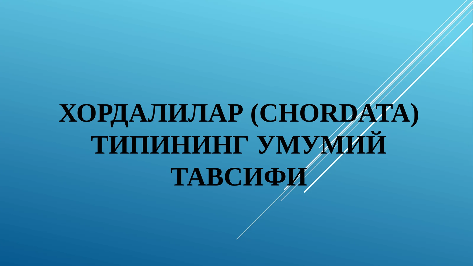 Хордалилар (CHORDATA) типининг умумий тавсифи