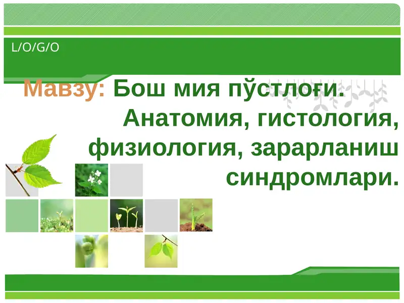 Бошмияпўстлоғи