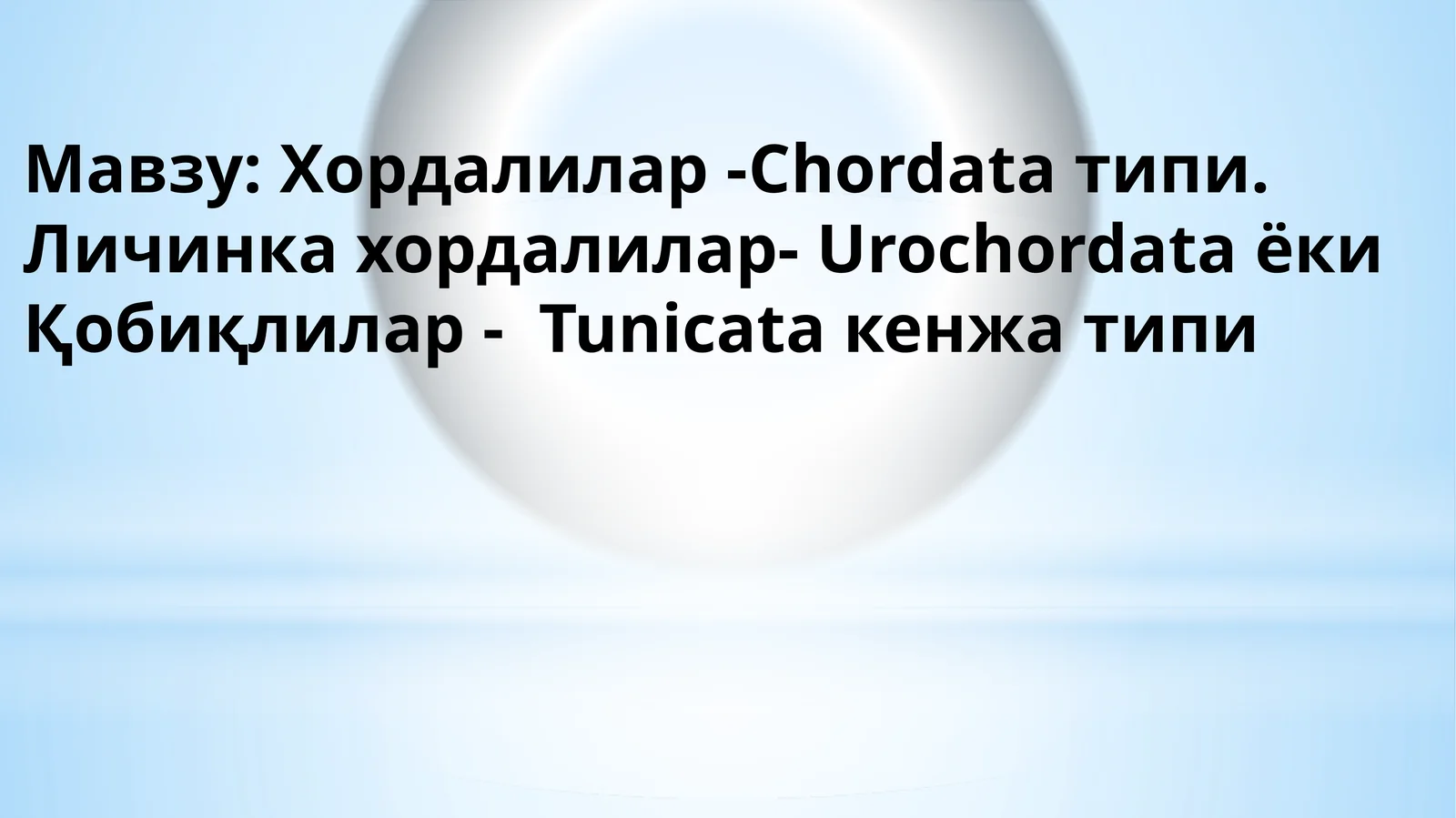 Хордалилар - Chordata типи