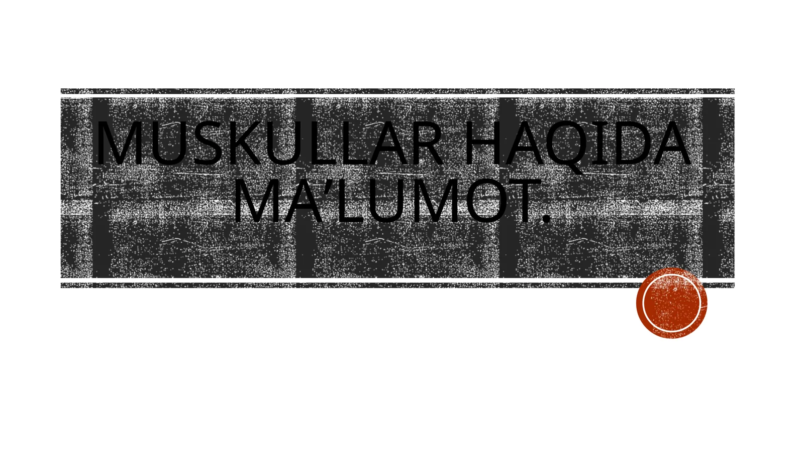 Muskullar haqidagi ma'lumotlar