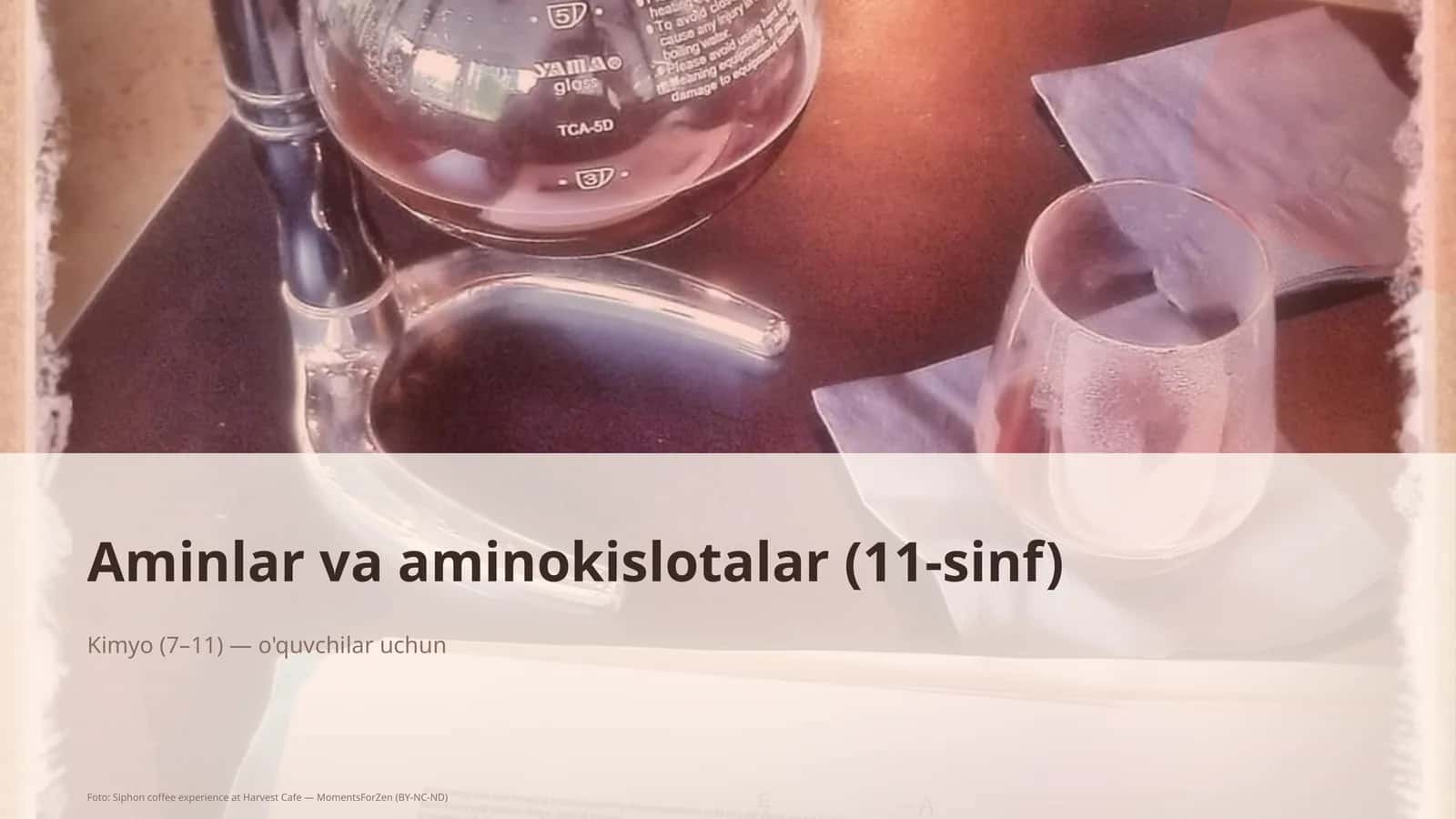Aminlar va aminokislotalar (11-sinf)