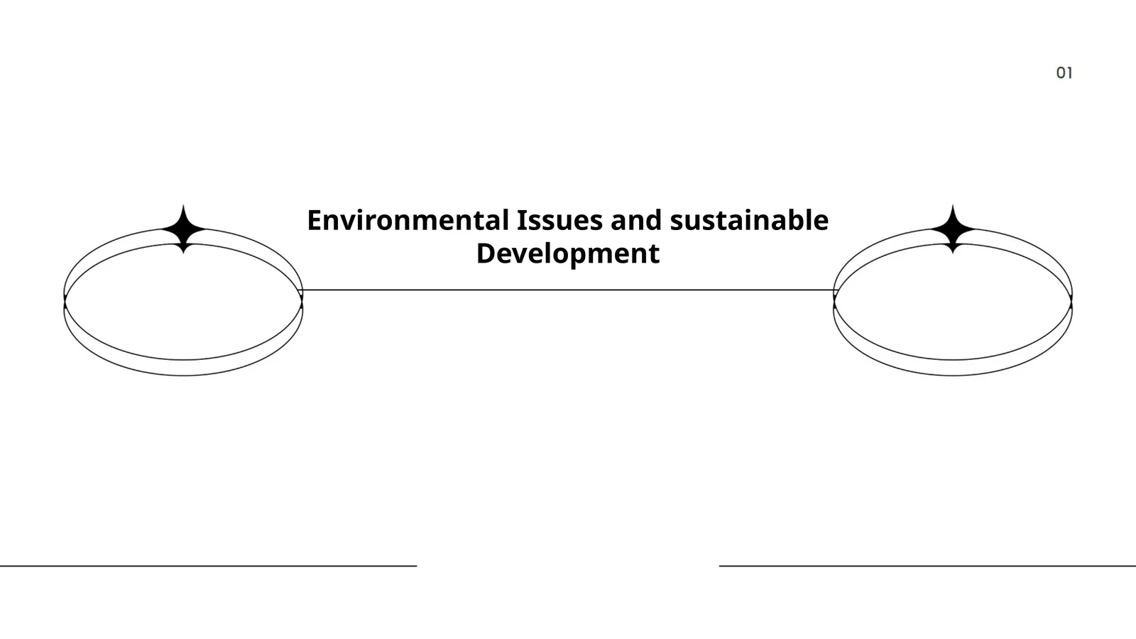 Environmental Issues and sustainable Development