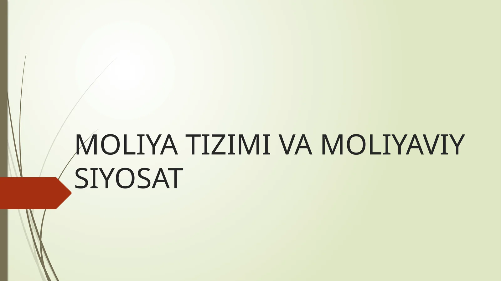 Moliya Tizimi va Moliyaviy Siyosat