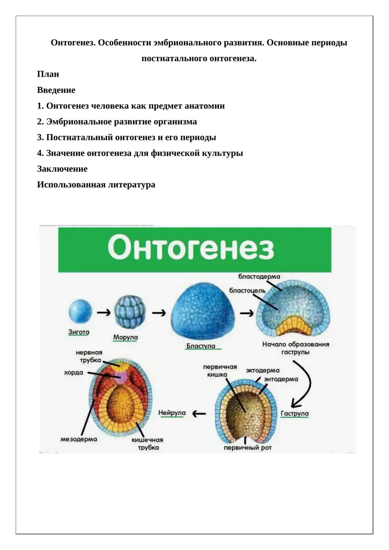 Онтогенез. Особенности эмбрионального развития. Основные периоды постнатального онтогенеза