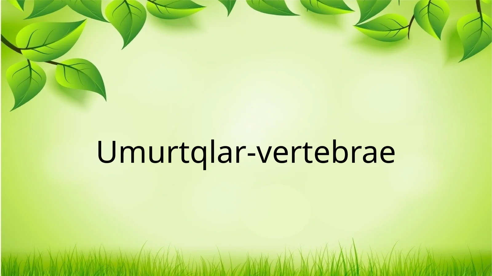 Umurtqalar -vertebrae