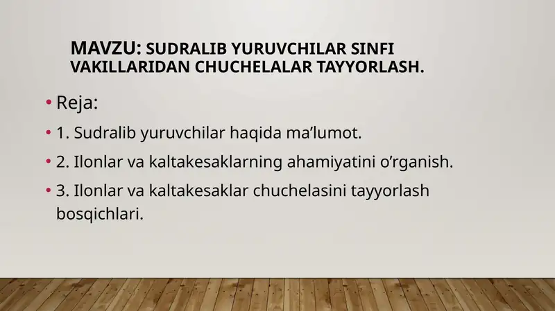 Sudralib yuruvchilar sinfi vakillaridan chuchelalar tayyorlash.