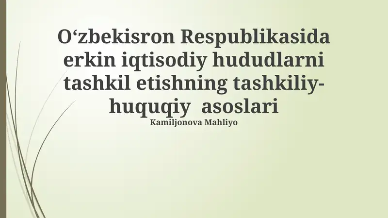 Oʻzbekiston Respublikasida Erkin Iqtisodiy Zonalarni Tashkil etishning Tashkiliy asoslari