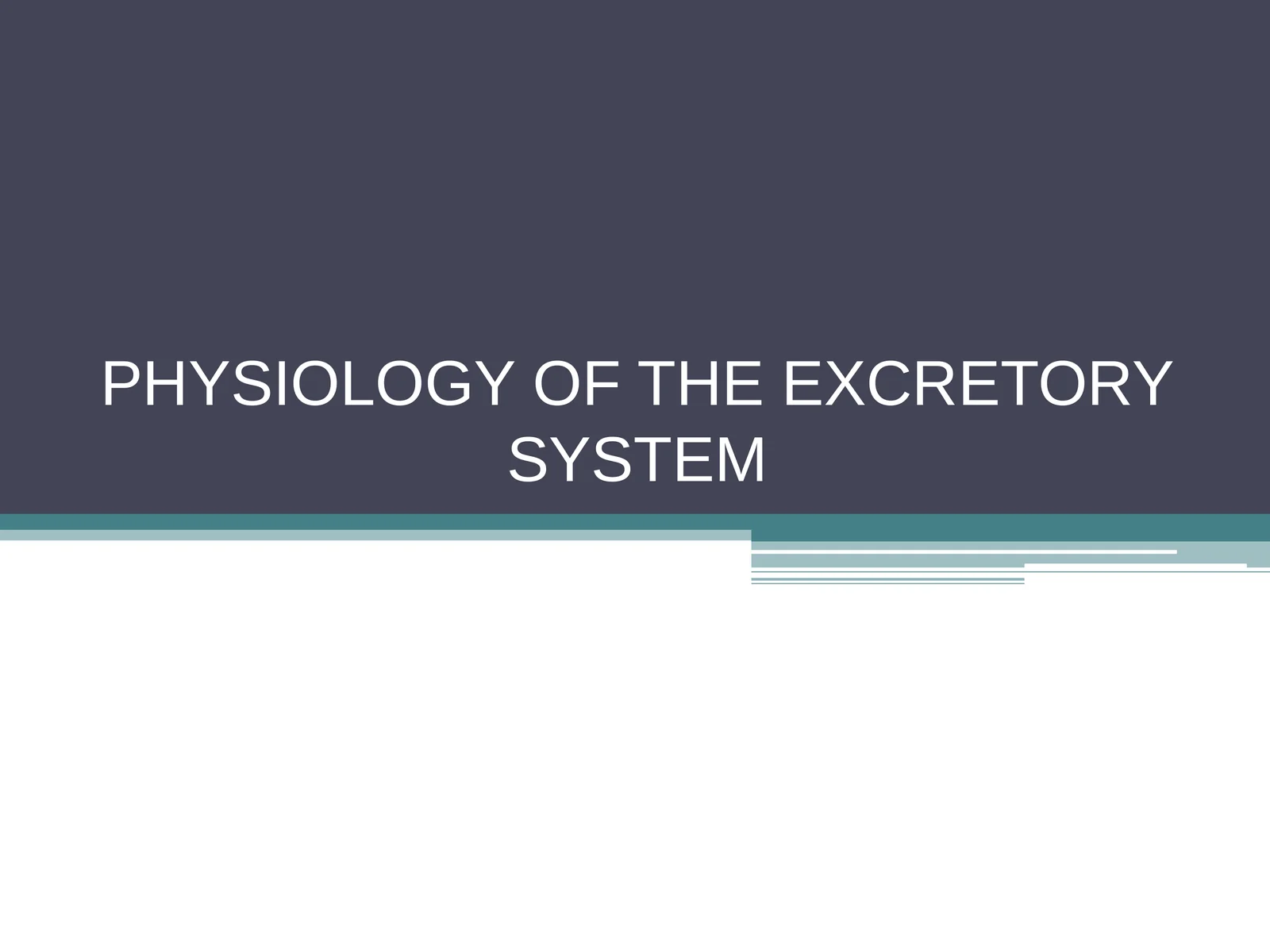 PHYSIOLOGY OF THE EXCRETORY SYSTEM