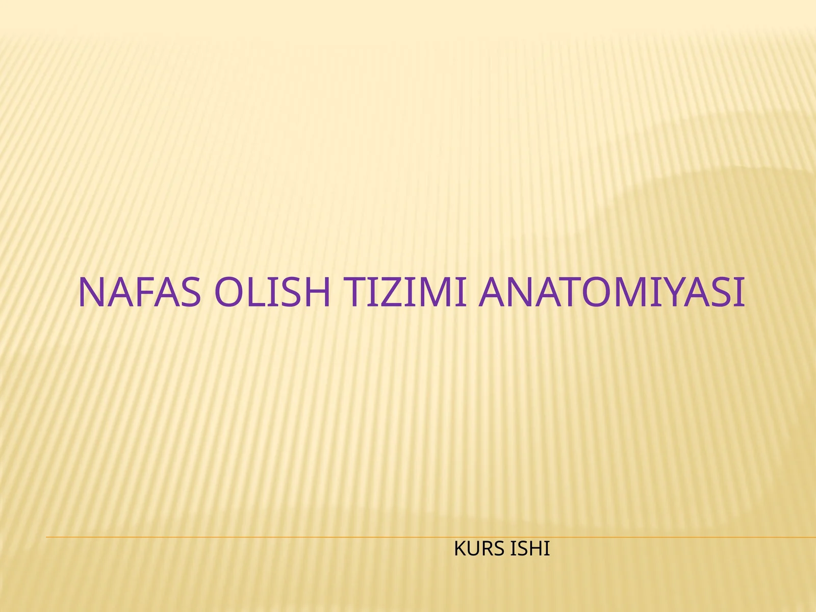 Nafas olish tizimi anatomiyasi