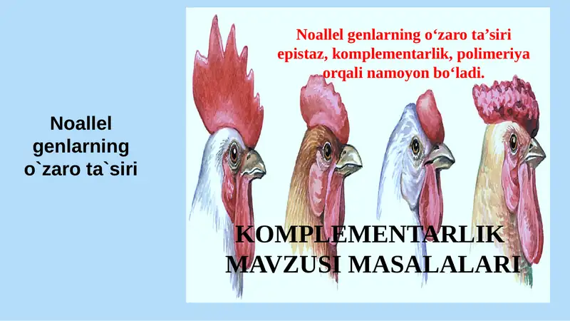 Noallel genlarning o`zaro ta`siri