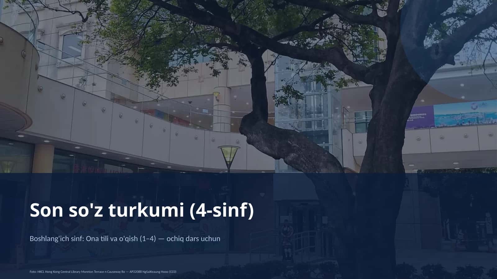 Son so'z turkumi (4-sinf)