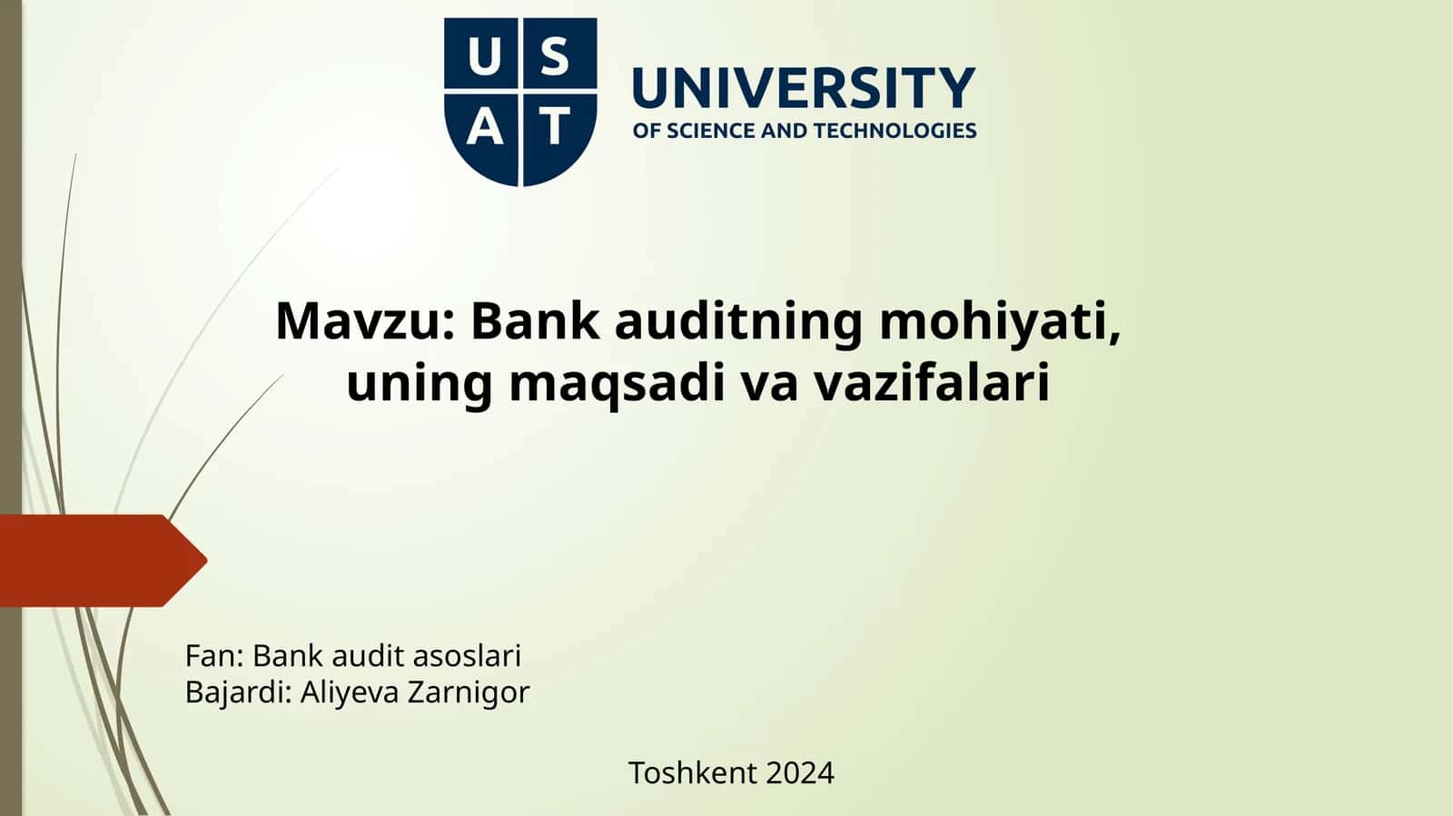 Bank auditasoslari