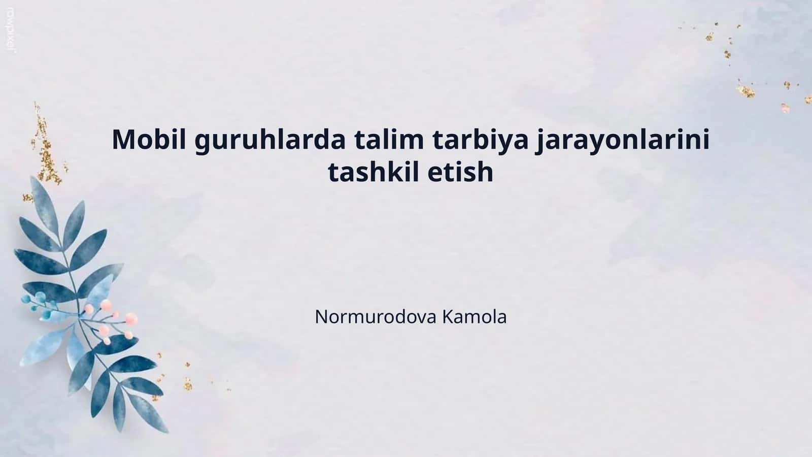 Mobil guruhlarda talim tarbiya jarayonlarini tashkil etish