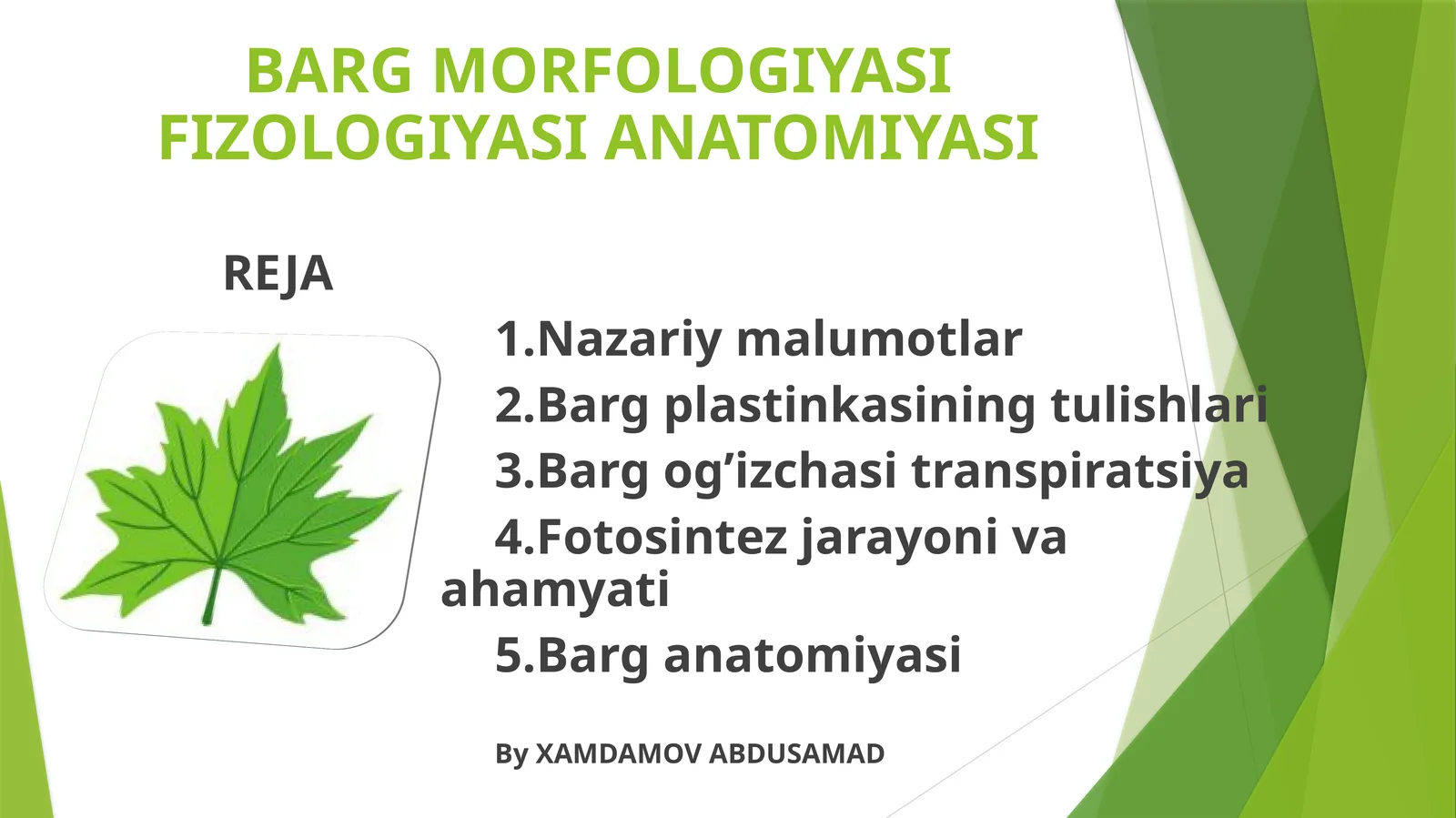 BARG MORFOLOGIYASI FIZOLOGIYASI ANATOMIYASI