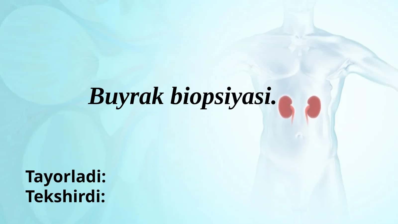 Buyrak biopsiyasi