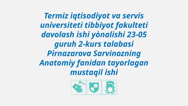 Termiz iqtisodiyot va servis universiteti Tibbiyot fakulteti