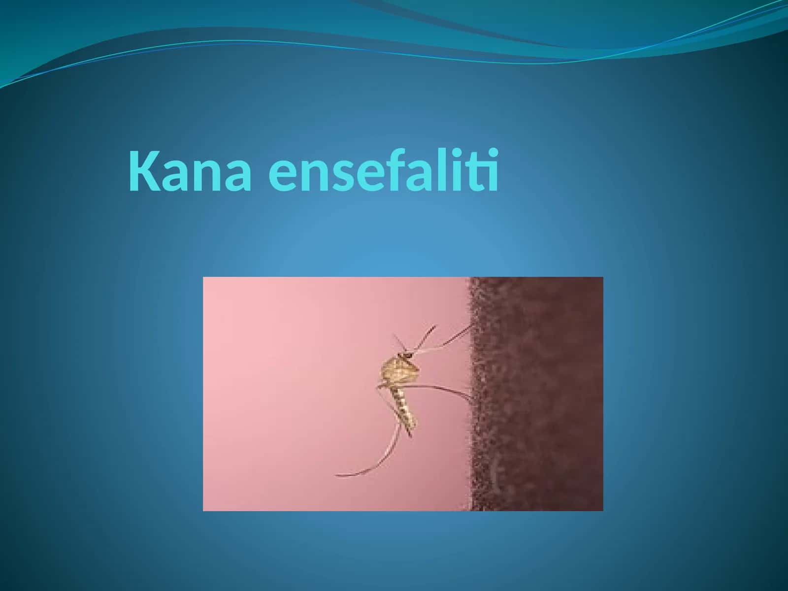 Kanaensefaliti