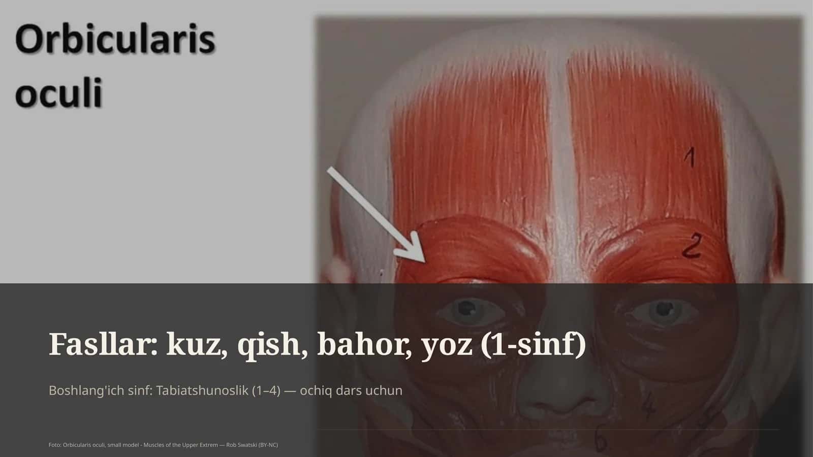 Tabiatshunoslik (1–4) — ochiq dars uchun