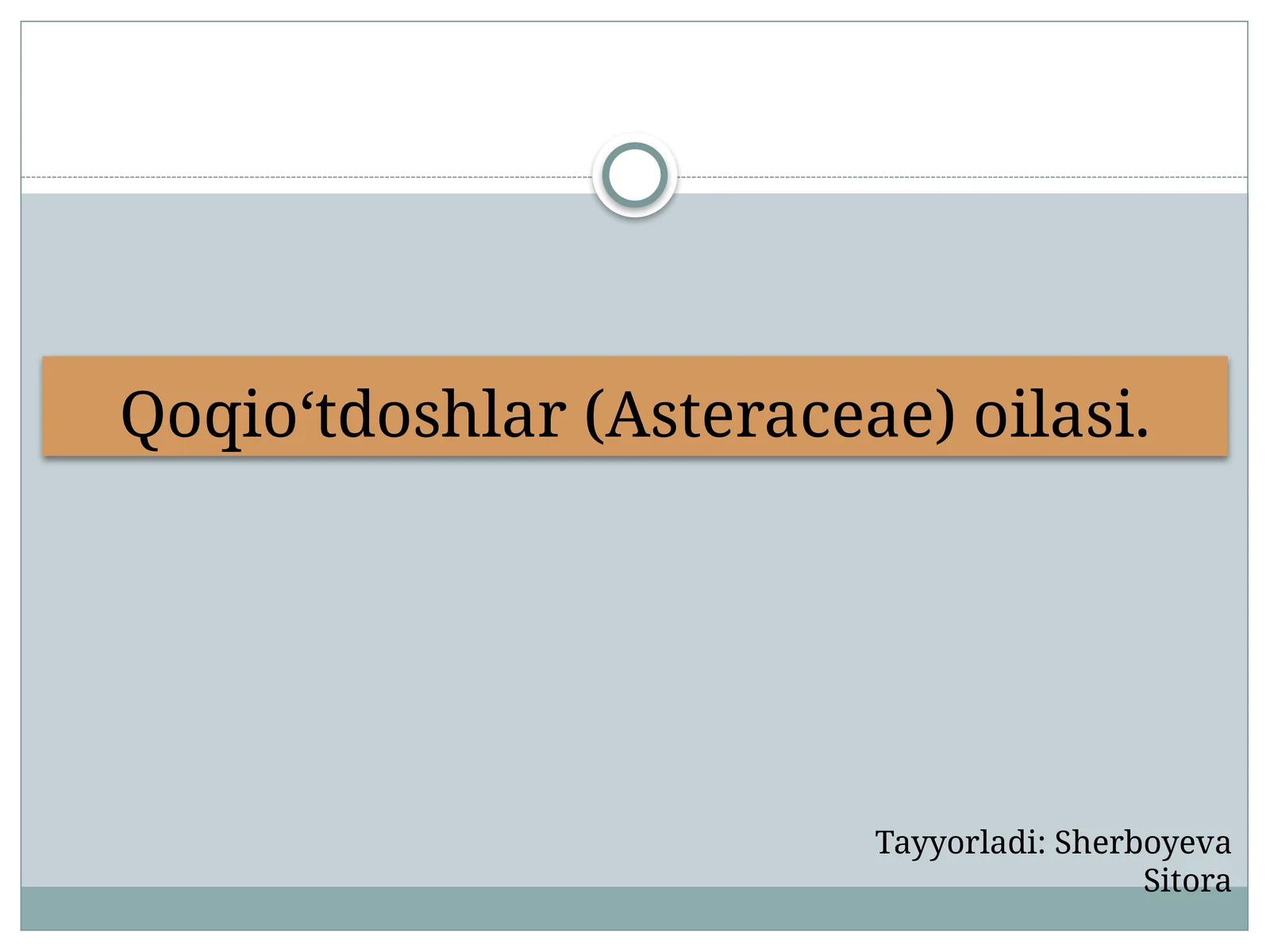 Qoqio‘tdoshlar (Asteraceae) oilasi