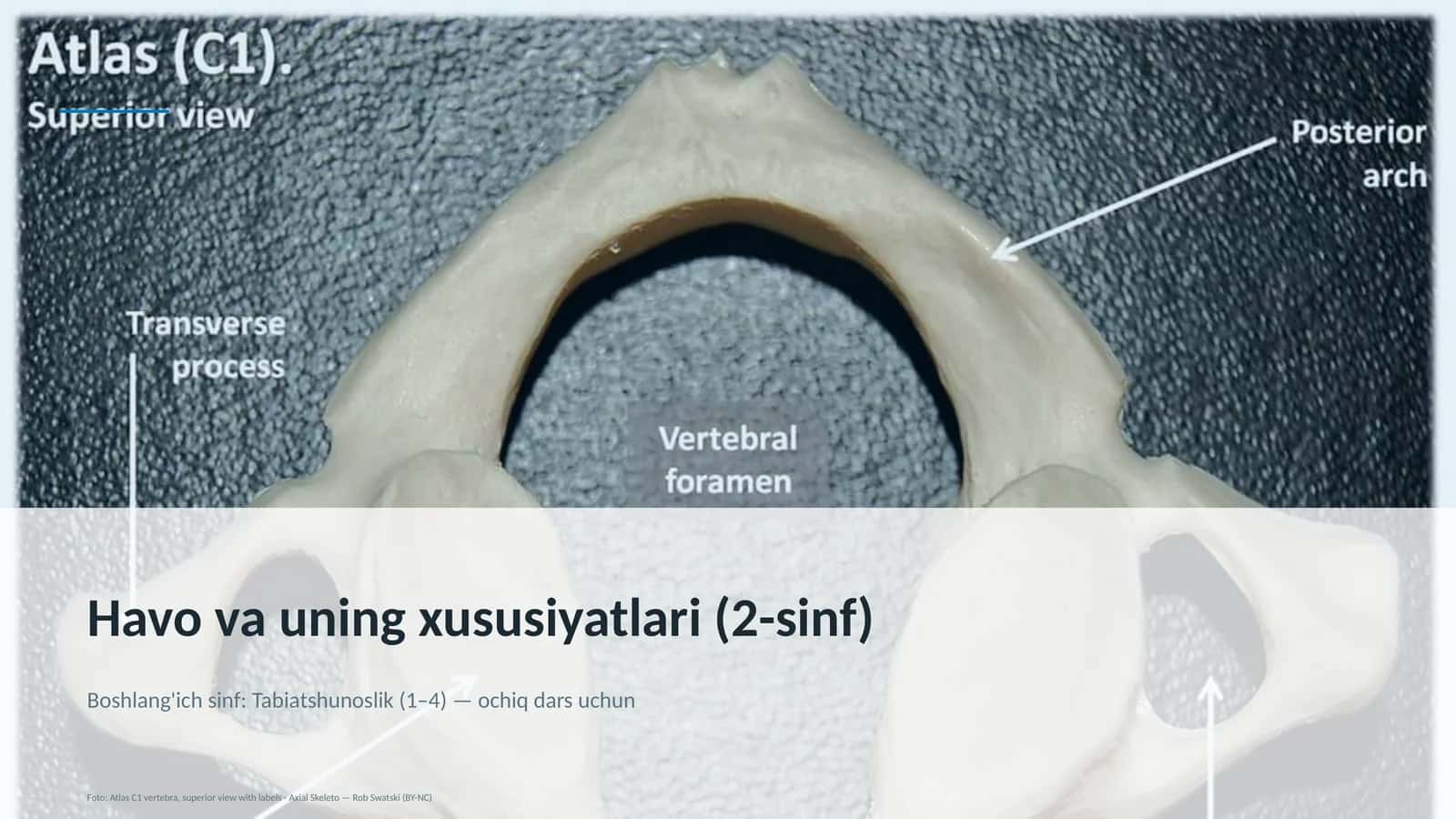 Havo va uning xususiyatlari (2-sinf)