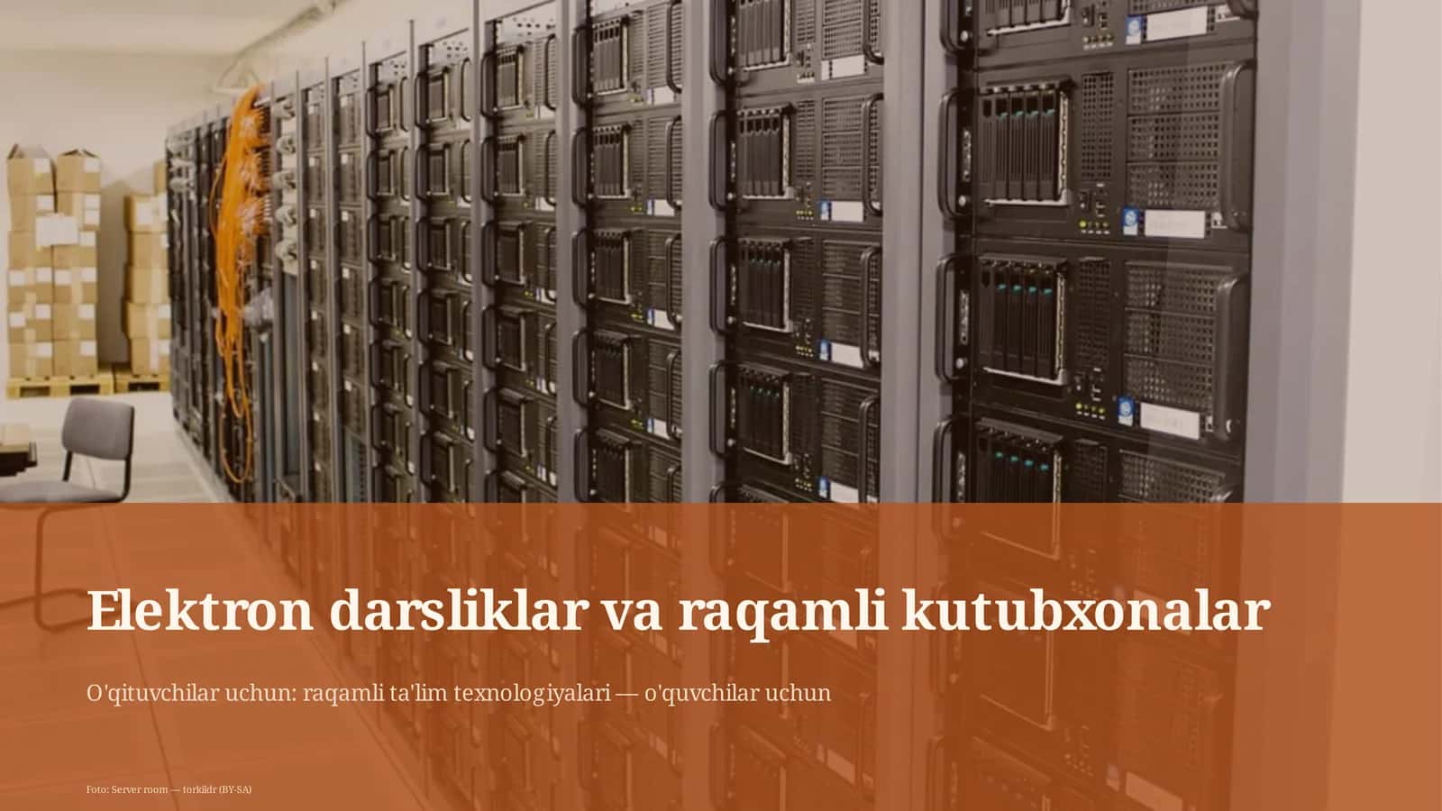 Elektron darsliklar va raqamli kutubxonalar