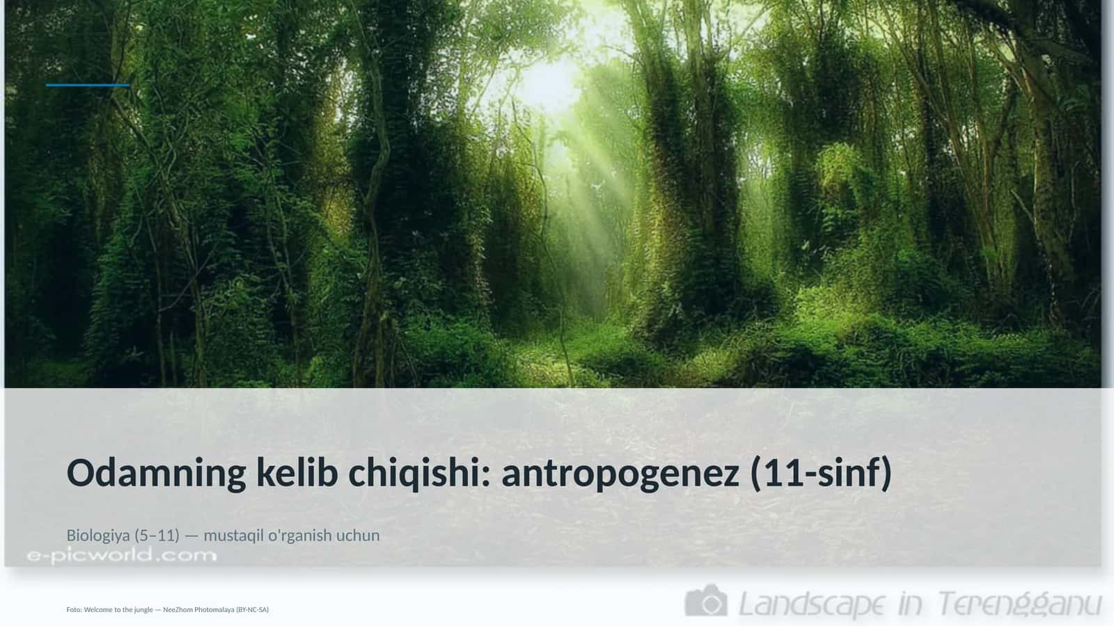 Odamning kelib chiqishi: antropogenez (11-sinf)