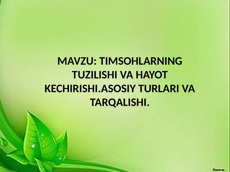 Timsohlarning tuzilishi va hayot kechirishi