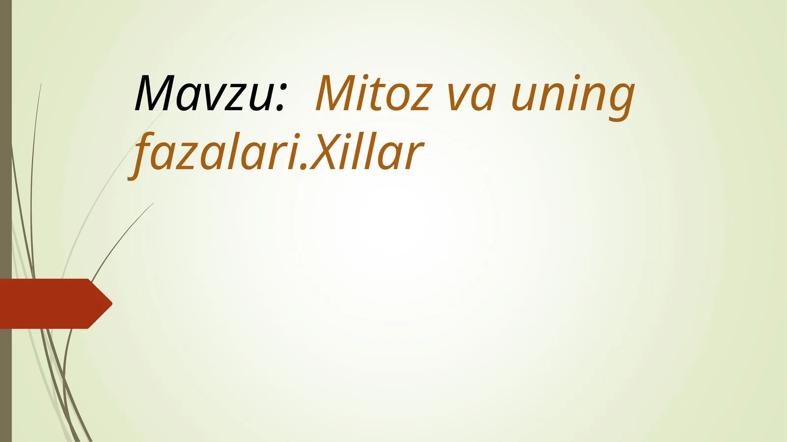 Mitoz va uning fazalari