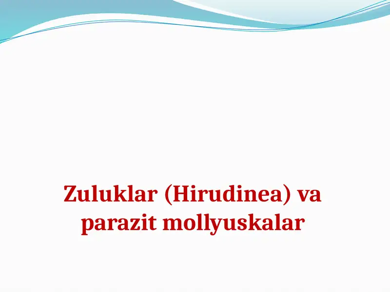 Zuluklar(Hirudinea)va parazitmollyuskalar