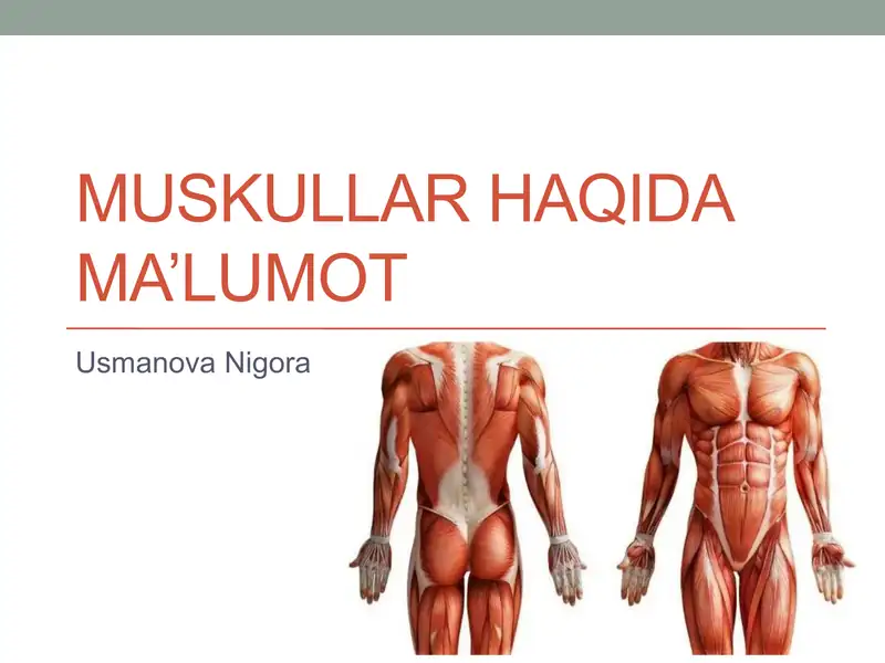 Muskullar haqida ma’lumot