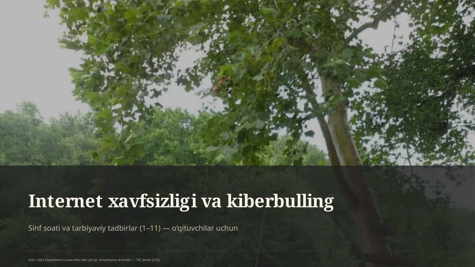 Internet xavfsizligi va kiberbulling