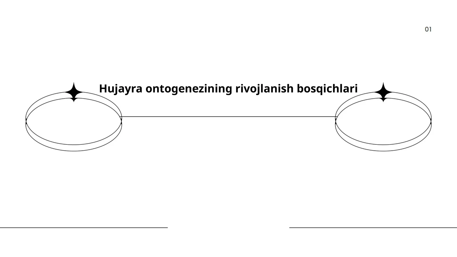 Hujayra ontogenezining rivojlanish bosqichlari