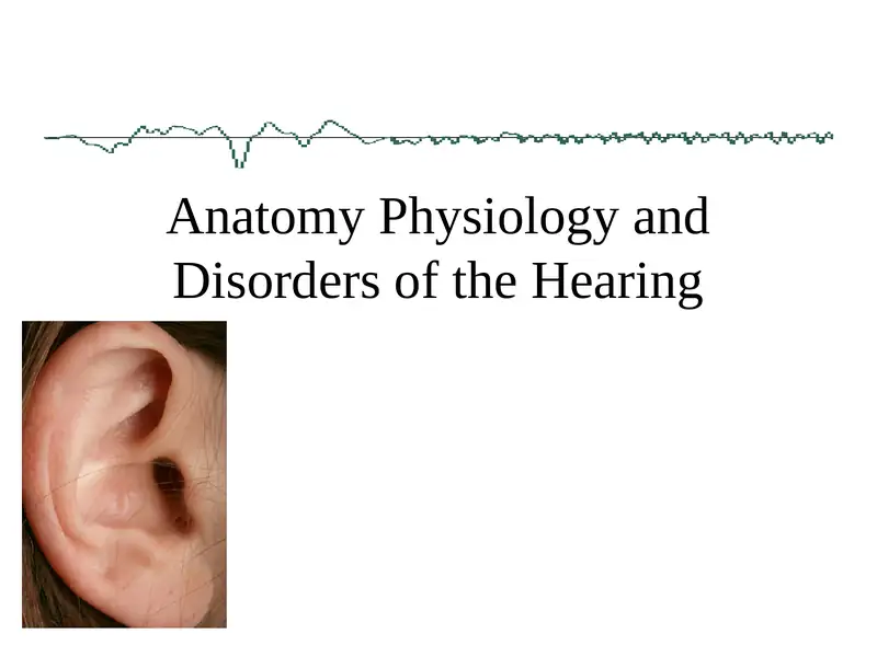 Anatomy Physiology and Disorders of the Hearing