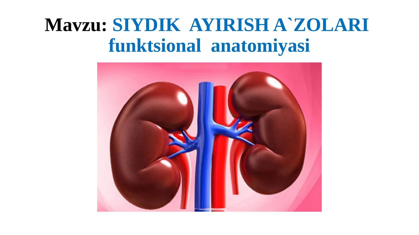 SIYDIKAYIRISH A`ZOLARI