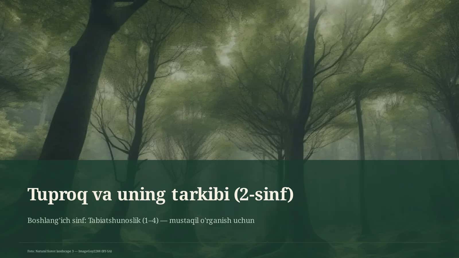 Tuproq va uning tarkibi (2-sinf)