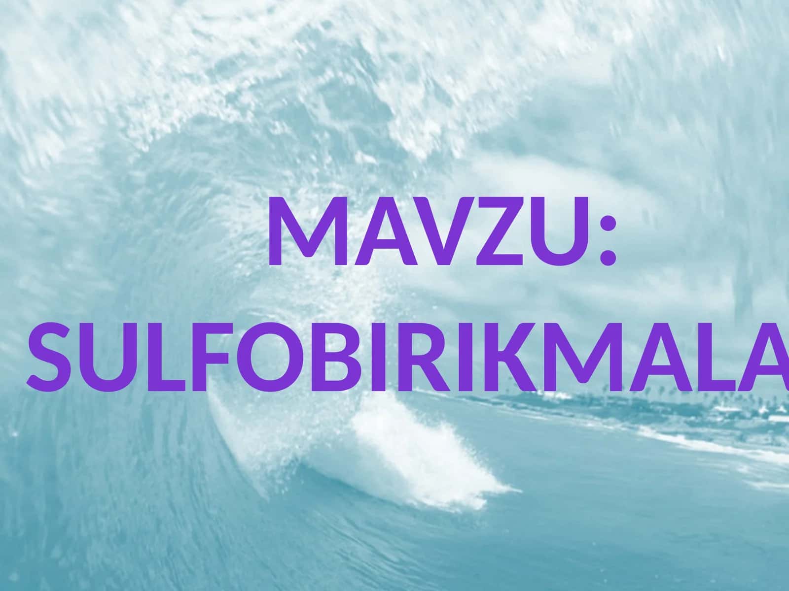 Sulfobirikmalar