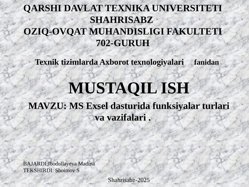 MS Excel dasturi