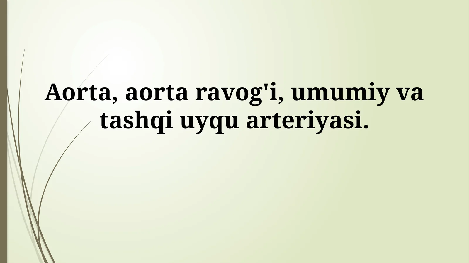Aorta, aorta ravog'i, umumiy va tashqi uyquarteriyasi